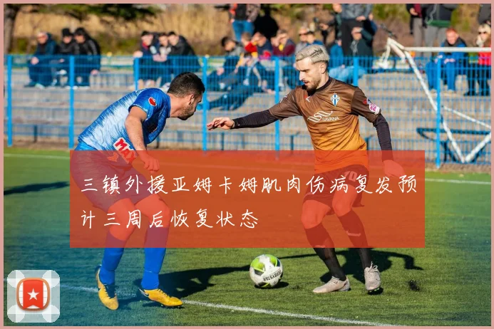 三镇外援亚姆卡姆肌肉伤病复发预计三周后恢复状态